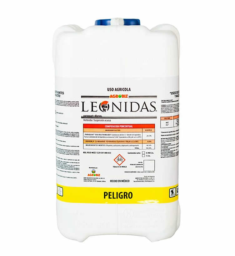 Leonidas 2.2