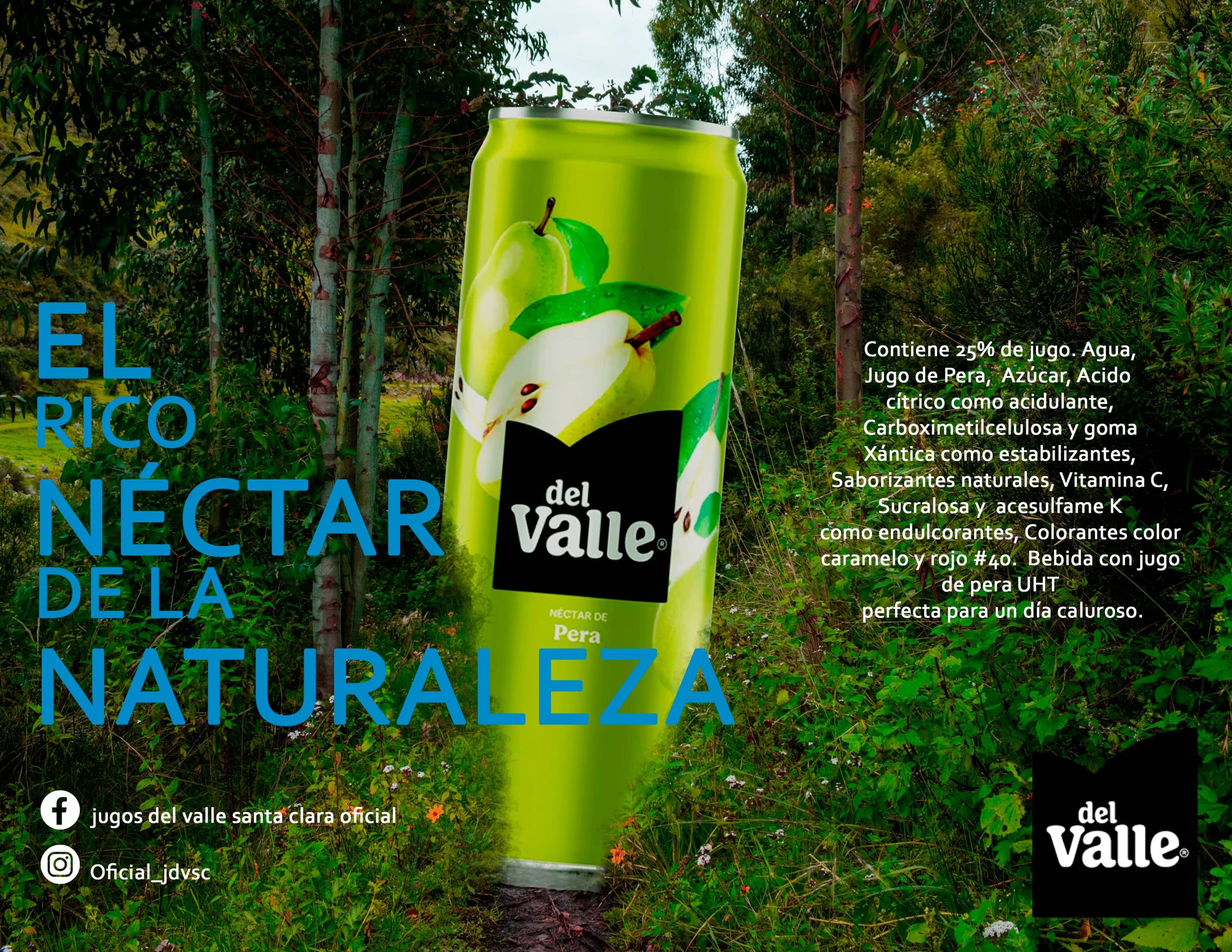 1 proyecto