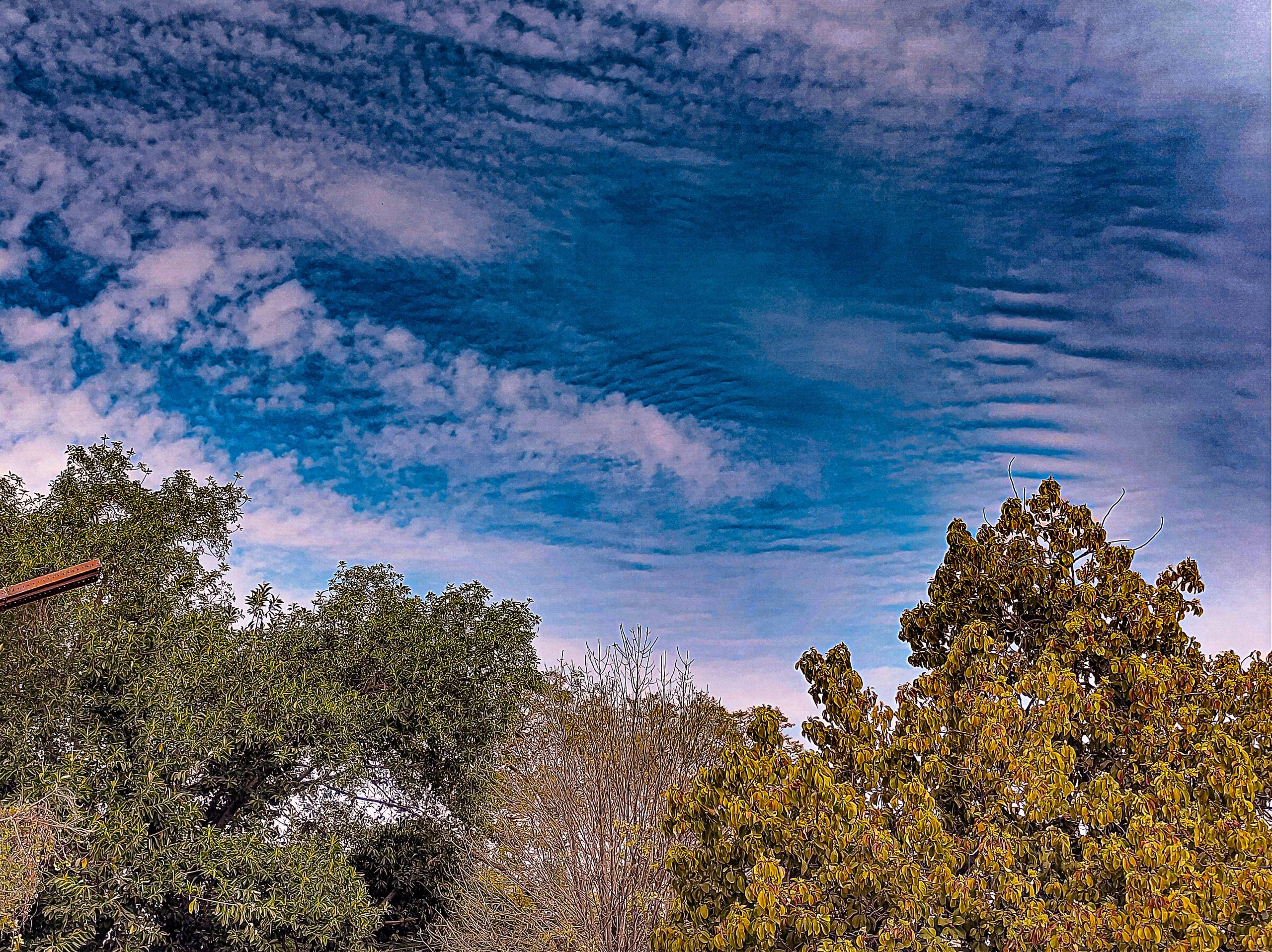 IMG_20240131_122119549_HDR
