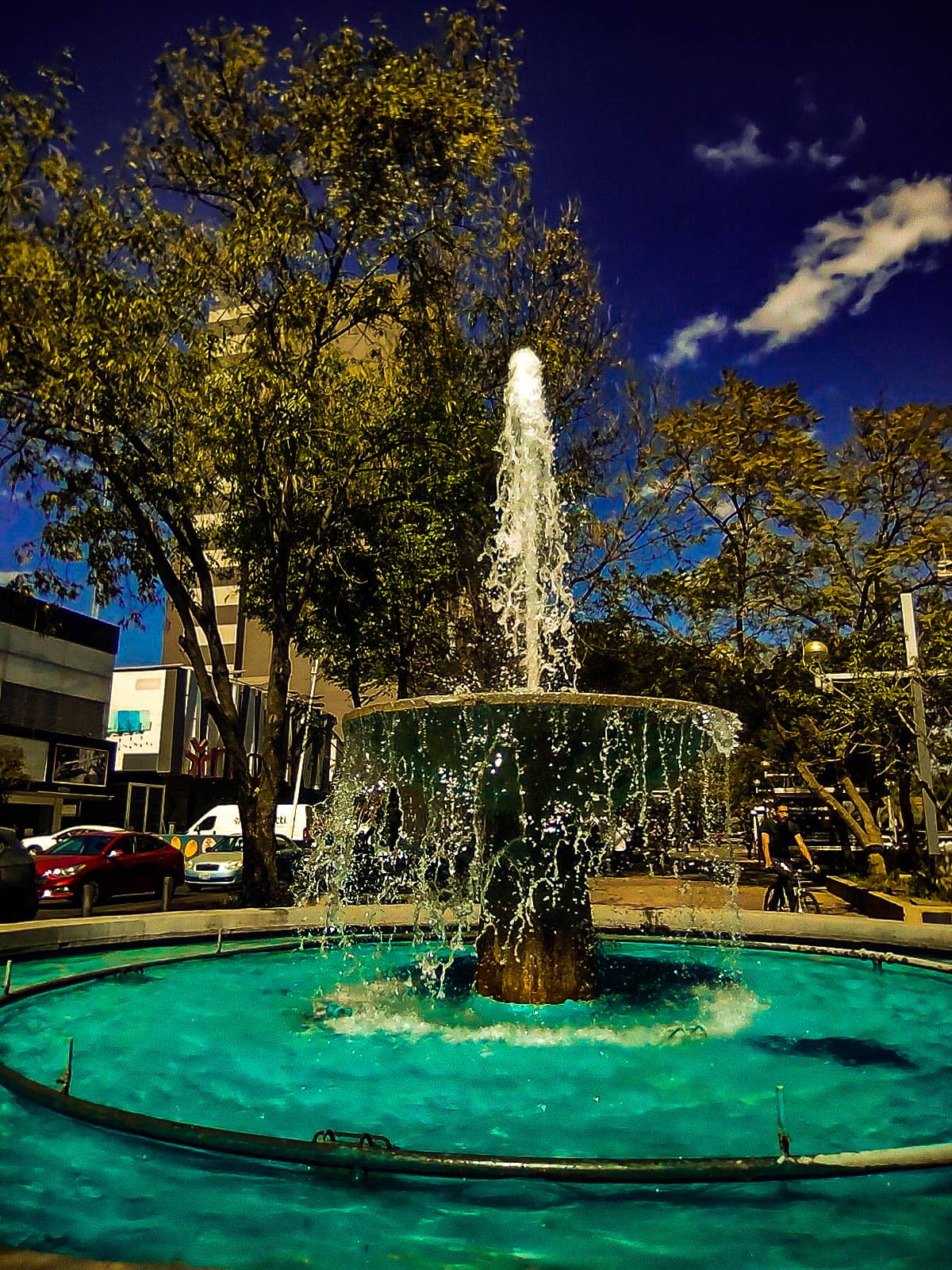 IMG_20240202_125630439_HDR