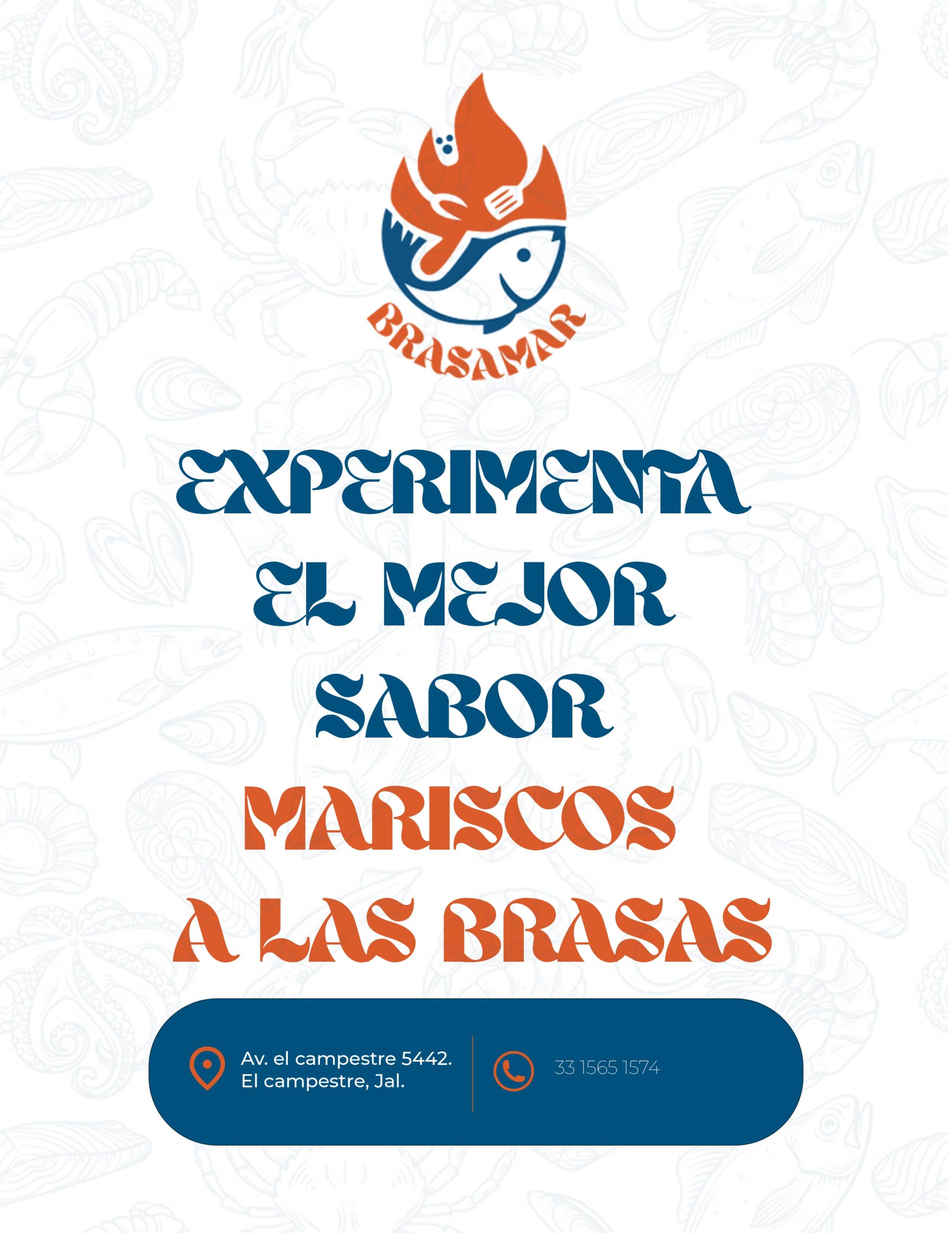 PUBLICIDADBRASANR (1)