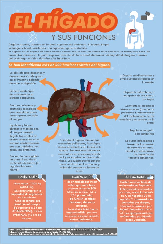 infografias 1